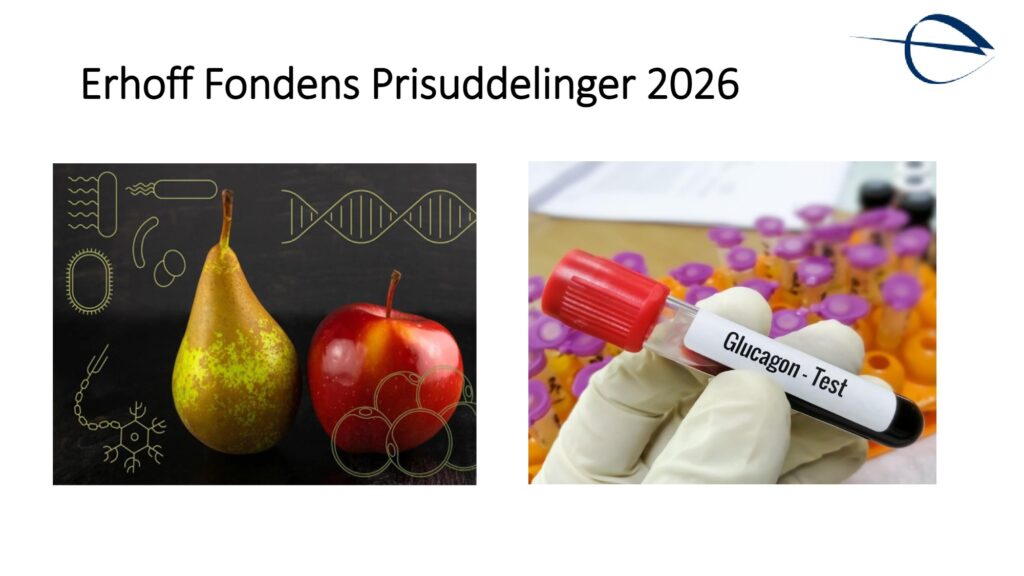 Introduktion til Erhoff Fondens prisoverrækkelse 2026, slide 8